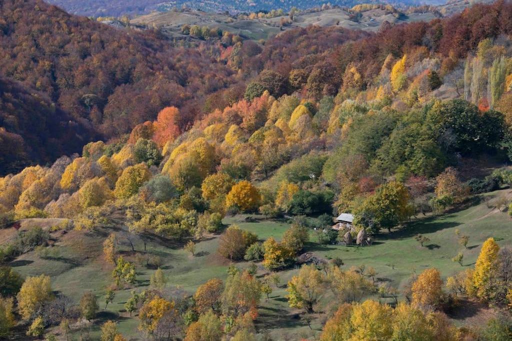 Valley View Breaza מראה חיצוני תמונה