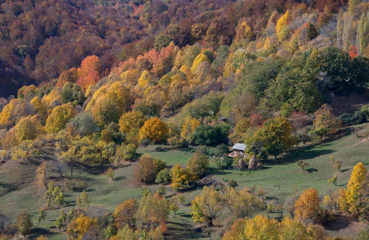 Valley View Breaza מראה חיצוני תמונה