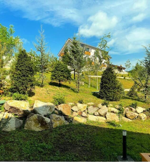 Valley View Breaza מראה חיצוני תמונה